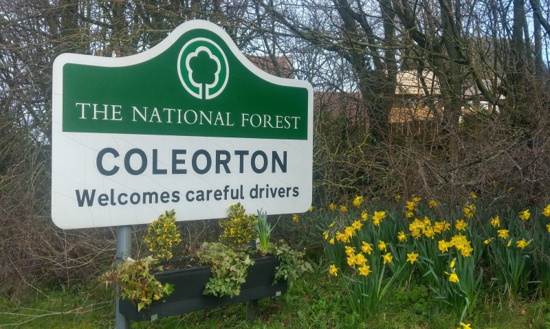 Daffs at Coleorton 16 February 2022