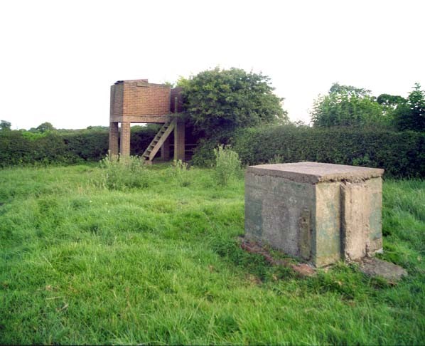 Orlit Posts